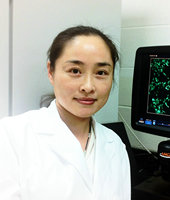 ������_�ô�����ߡ� �ǻۻ�����ҽԺ