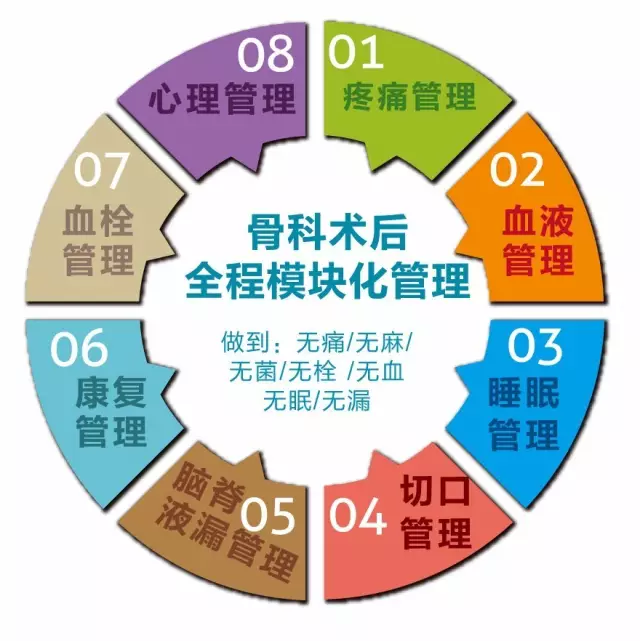 上海首家骨科术后全程模块化管理与快速康复模