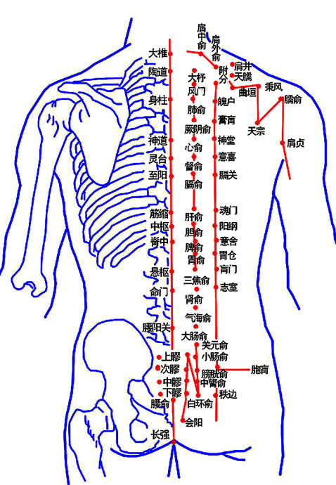 颈椎病的奇妙之穴——大杼穴