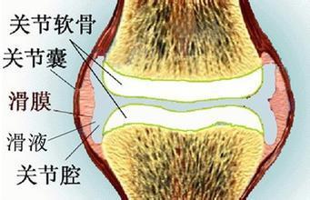 漫谈膝关节软骨损伤