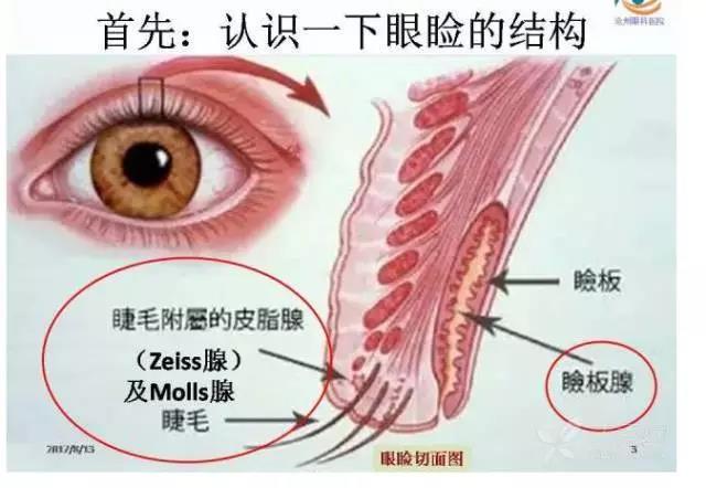 微信图片_20171219191302.jpg