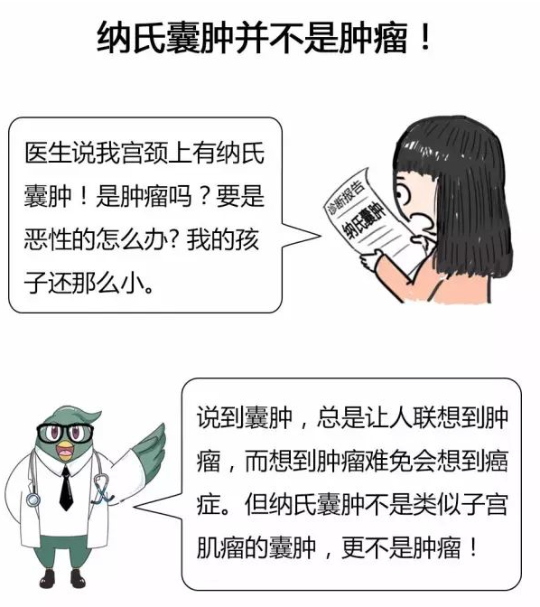 宫颈纳氏囊肿并不是肿瘤