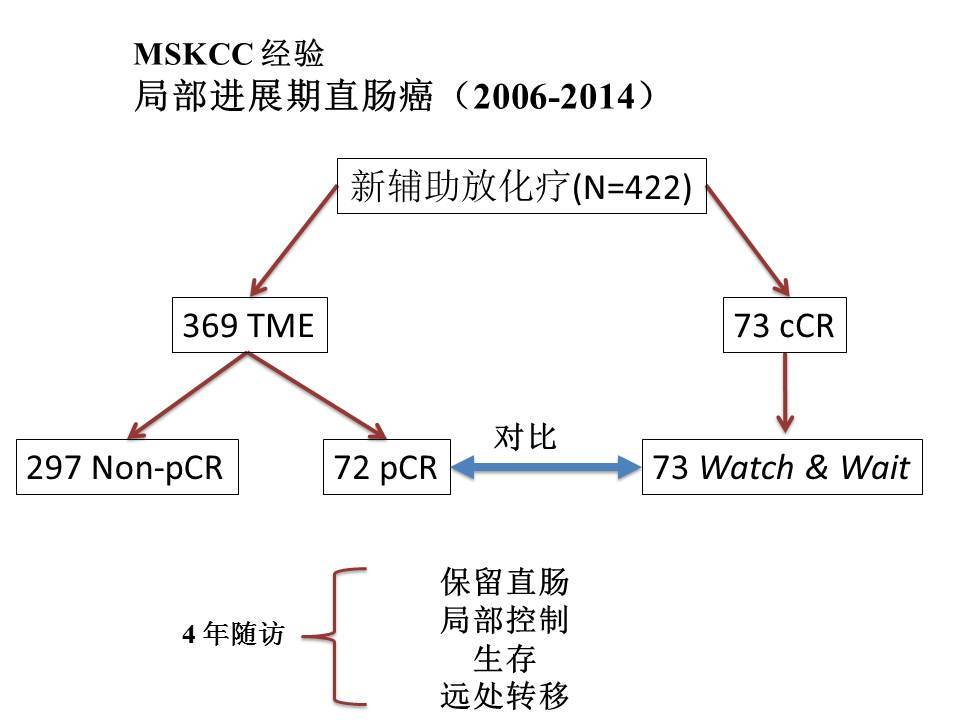 非手术治疗.jpg