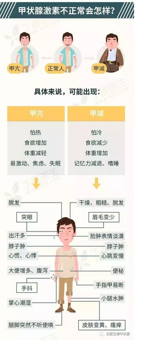 脱发与甲状腺疾病的关系