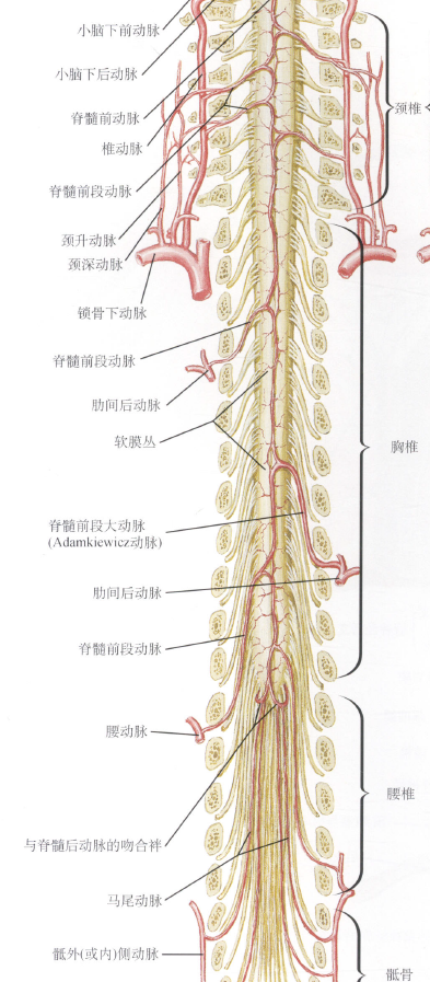 微信截图_20171026112505.png