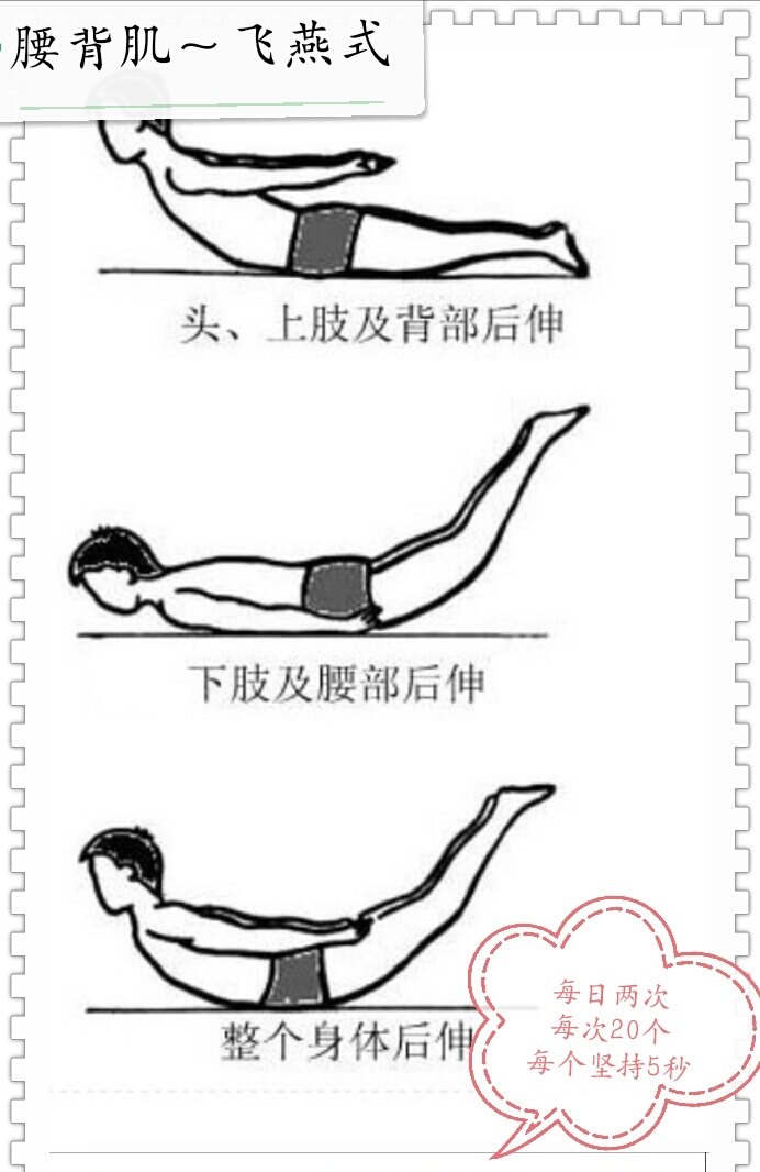 腰背肌飞燕式锻炼的益处及方法