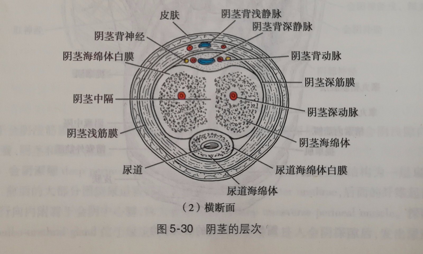 1499673916120511.jpg 微信图片_20170710160200.jpg