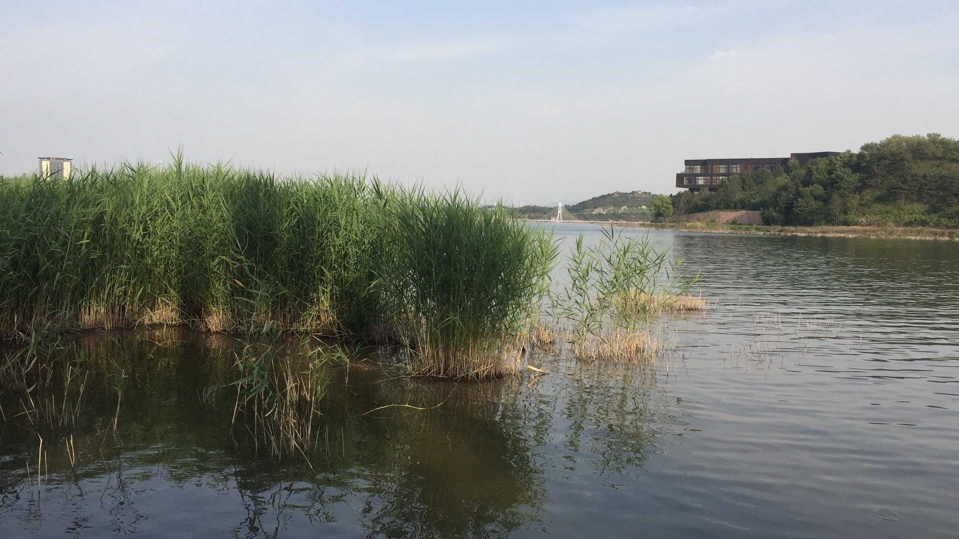 脱敏治疗(免疫治疗) - 好大夫在线