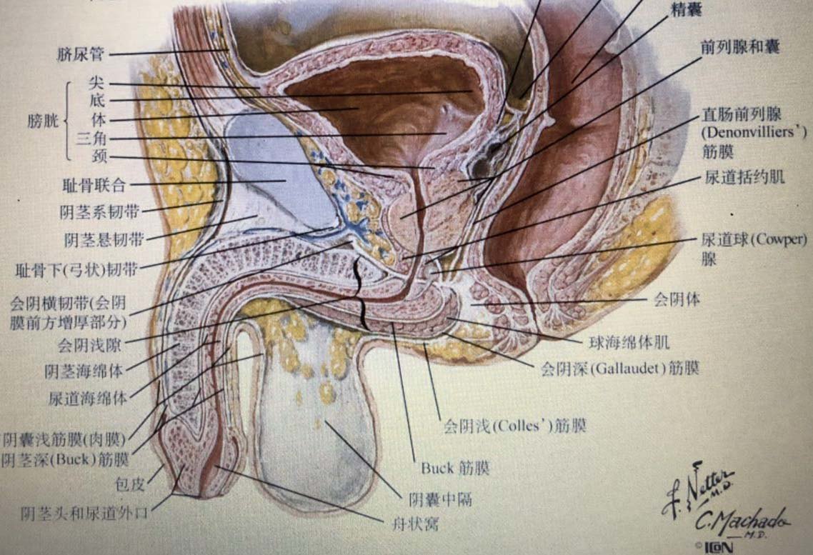 微信图片_20180211145953.jpg