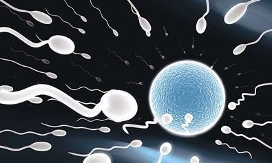 试管婴儿促排卵方案,你知道多少?