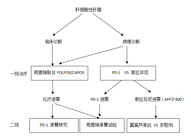 pd1临床试验进驻肝癌领域为肝癌患者的福音