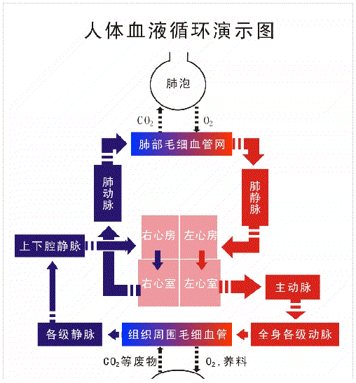 影响高血压的因素有哪些?