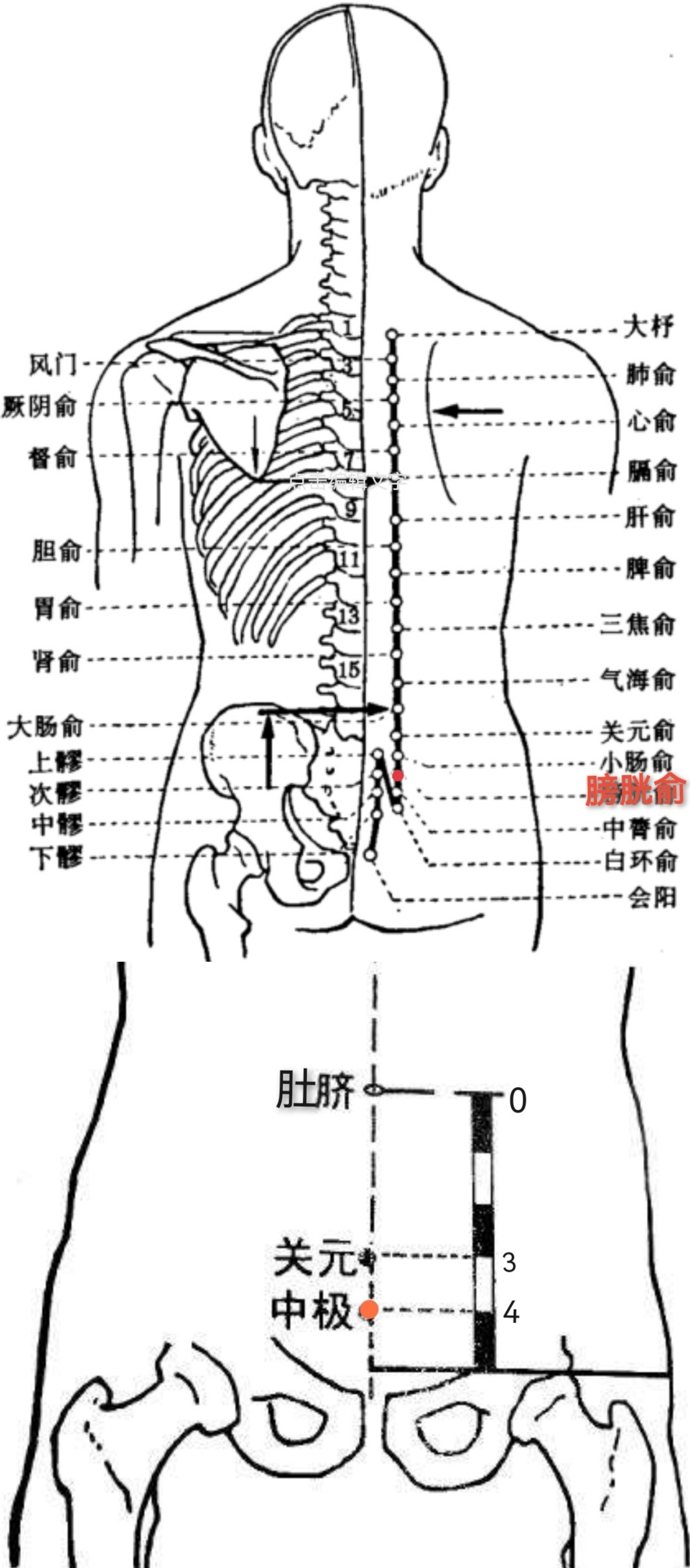 安军明教授带你解密武侠中神秘的经脉和穴位二十四