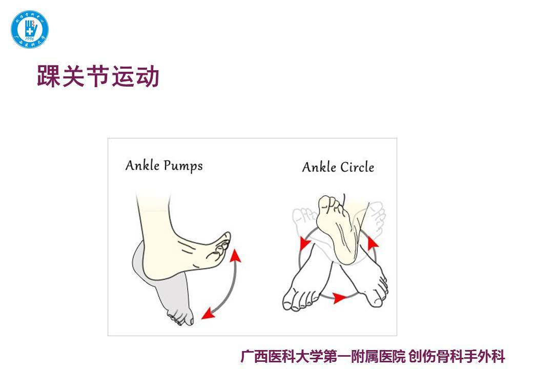 髋,膝,踝关节功能锻炼方法