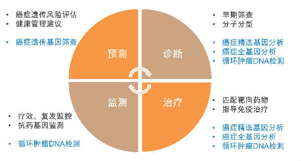 基因检测：解锁生命的遗传密码