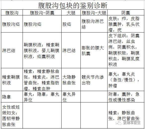 腹股沟疝国际诊疗指南诊断和鉴别诊断