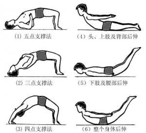 腰背肌锻炼的常用方法包括飞燕式和拱桥锻炼等.