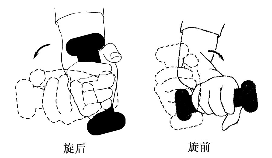 以及前臂的旋前,旋后肌,做持物下前臂旋转练习(见图8).