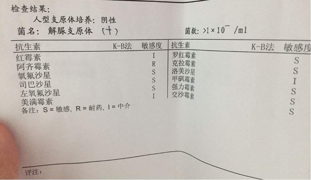 得了支原体感染怎么办我需要治疗么