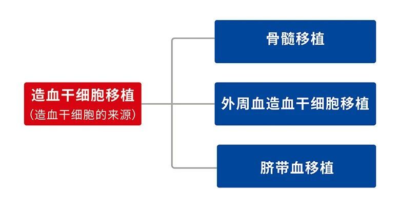 从配型(hla)看造血干细胞移植方案的选择_骨髓移植 - 好大夫在线