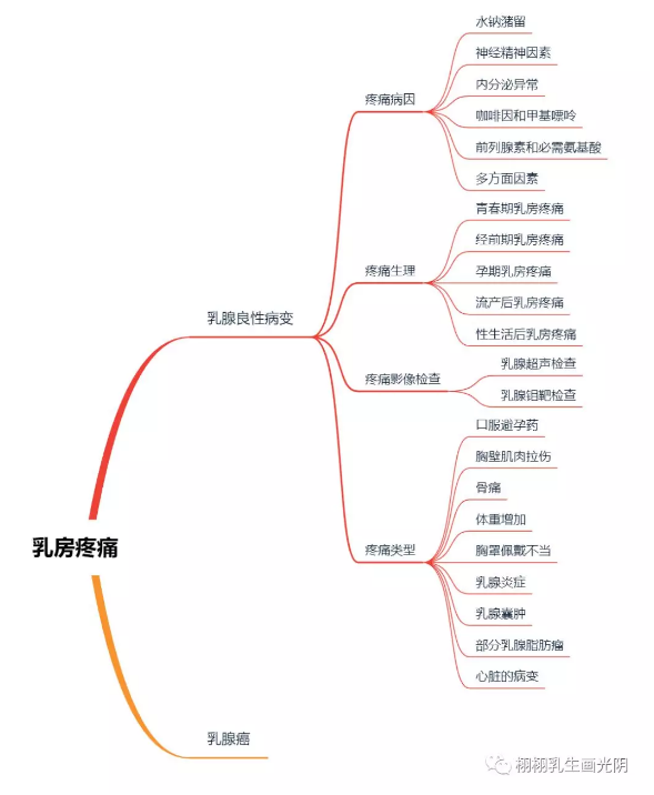 乳房疼痛知识图谱