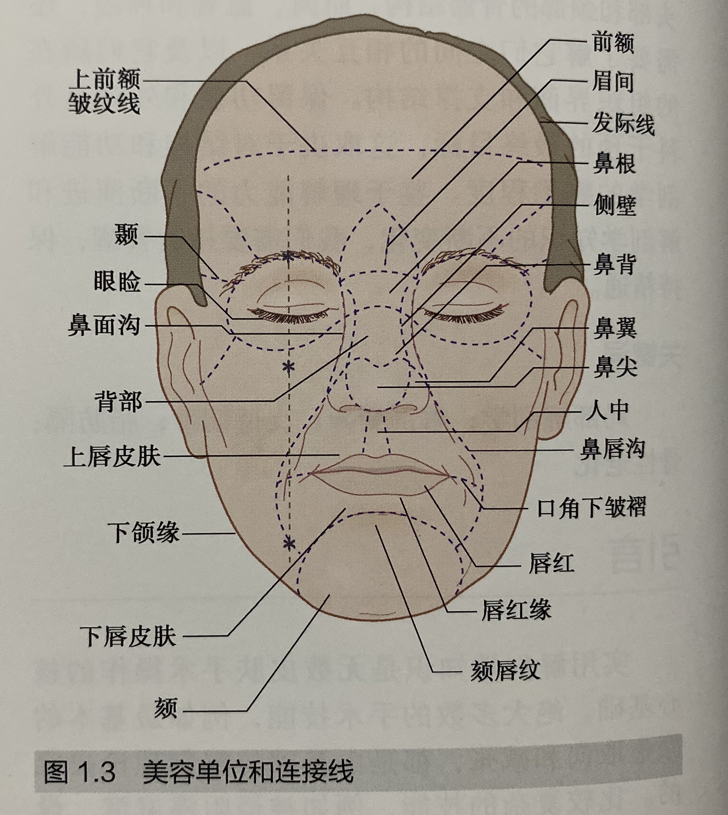 面部手术切口设计原则