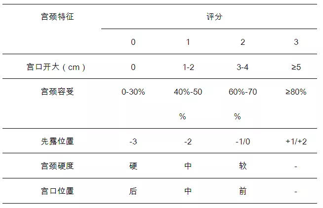 bishop评分表