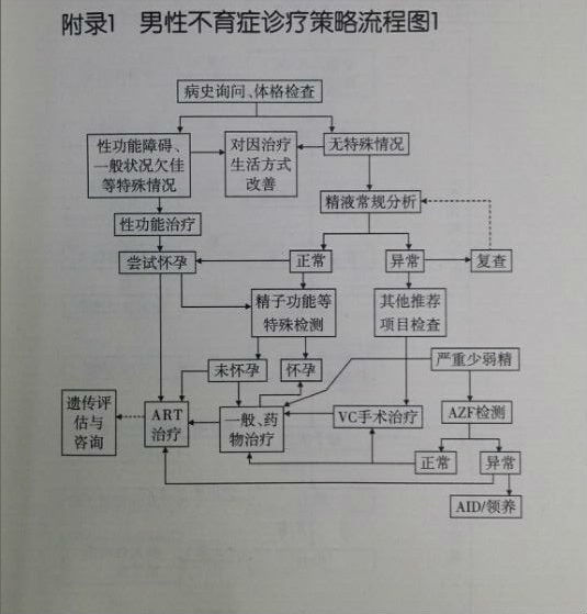 男性不育症诊疗流程