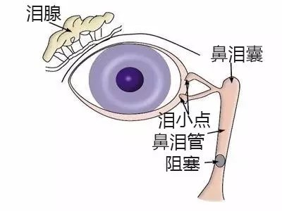 按压方向:往下鼻孔方向按压按压次数:每天2~3次,每次2~3秒按压位置:鼻