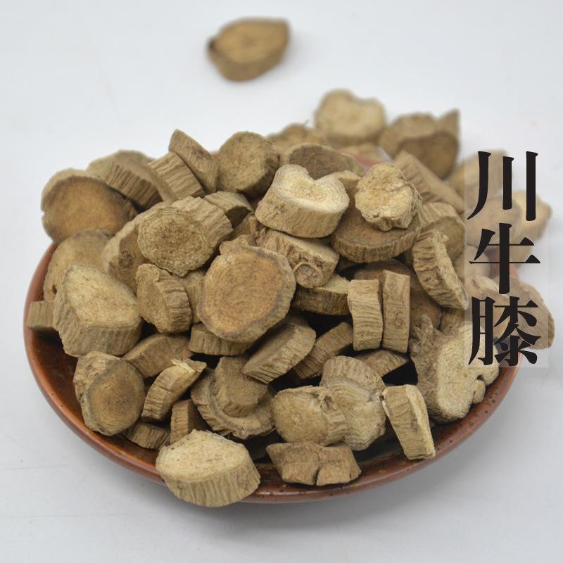 中药川牛膝