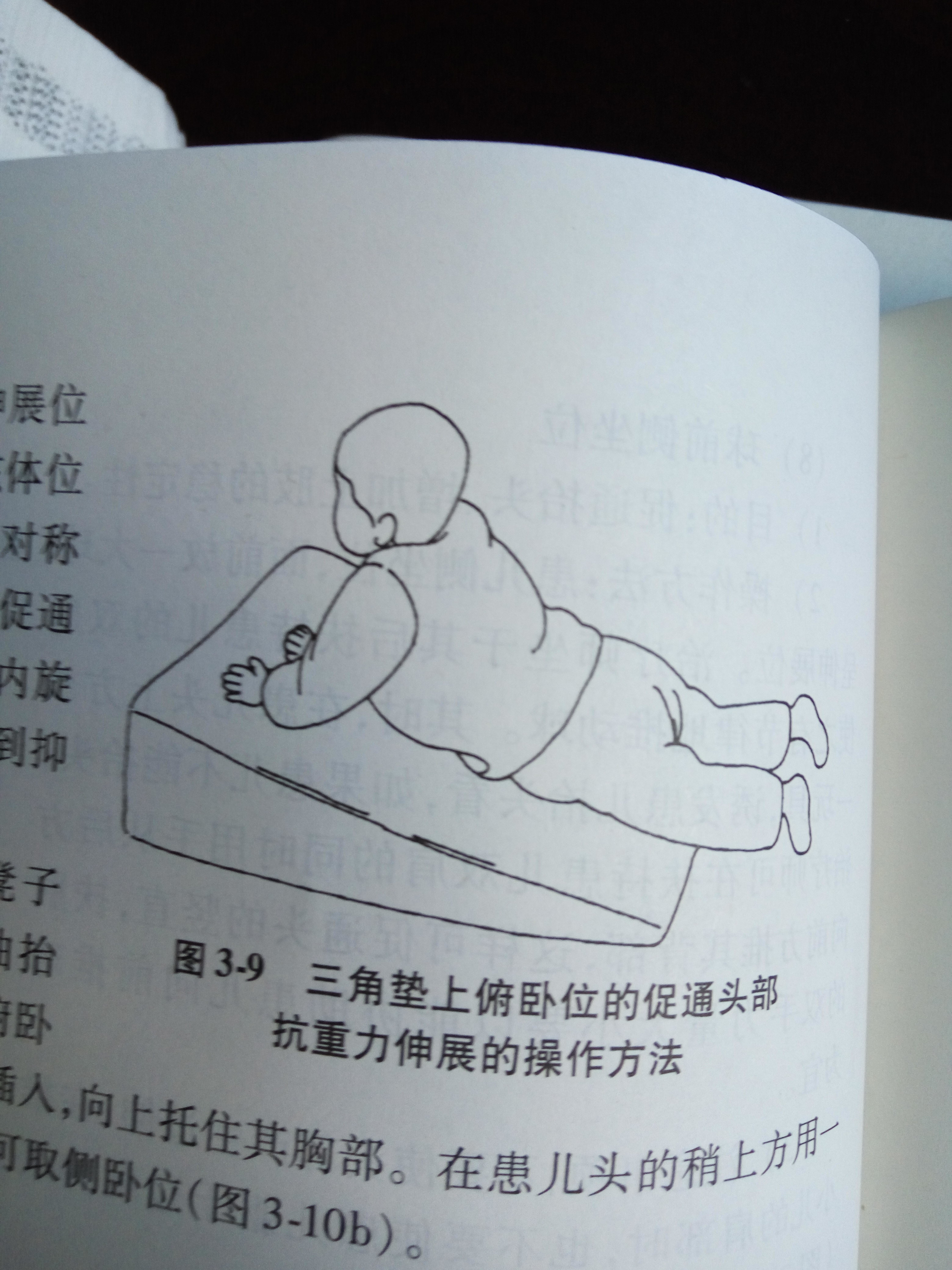 沈阳202医院 李二伟 文章列表 >头部控制能力训练   抬头和头控能力是