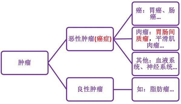 肿瘤分为哪几种 www.haodf.com