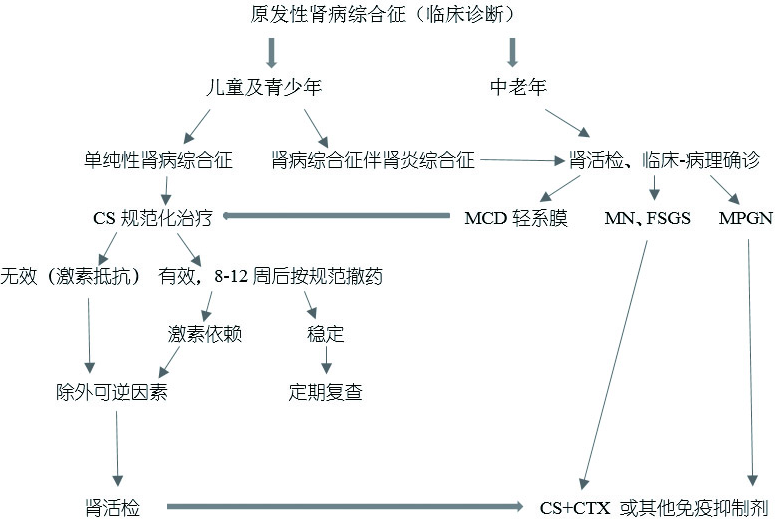 肾病综合征的临床诊疗思路