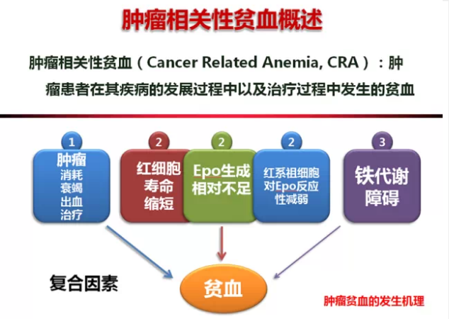 肿瘤相关贫血的分级和治疗