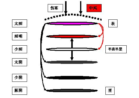 六经传变图六经表里图六经提纲图