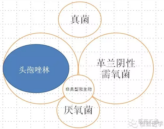 最全的抗生素抗菌图谱给大家参考