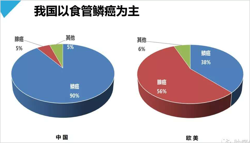 化疗有效率约40-60%,但容易出现耐药,耐药后 食管癌 生存期大大缩短.