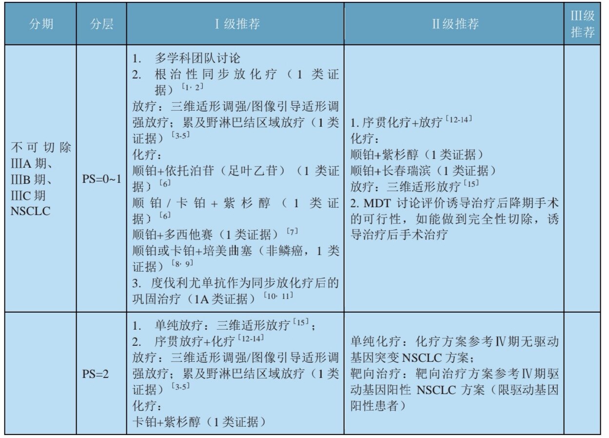 2020版csco非小细胞肺癌指南基于病理类型分期和分子分型的综合治疗