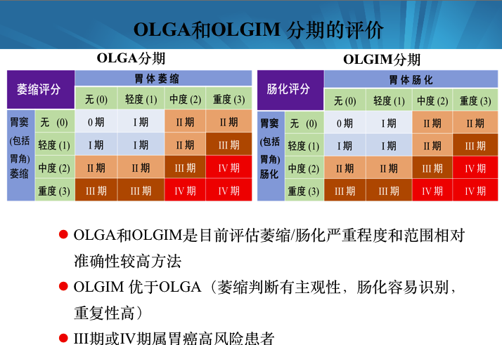 慢性胃炎olgaolgim分期以及随访流程