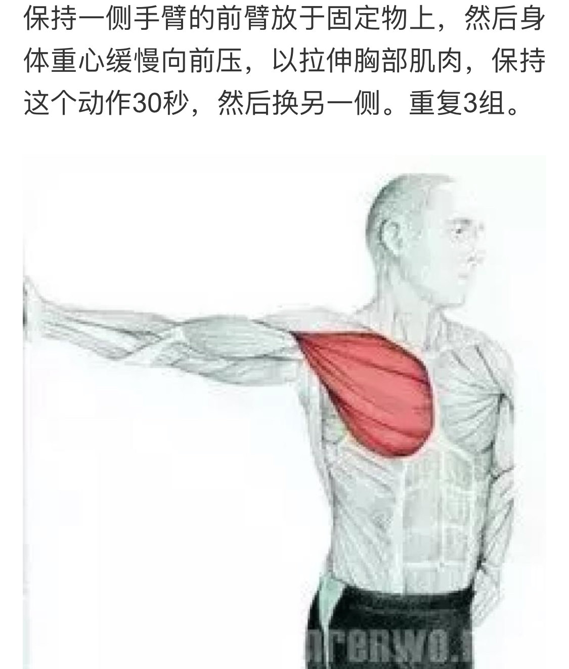 拉伸斜方肌上束7 手法放松斜方肌上束8 拉伸胸锁乳突肌9 拉伸斜角肌