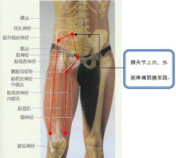 膝关节上内、外侧疼痛思路.jpg