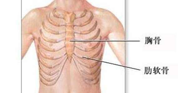 漏斗胸及其危害