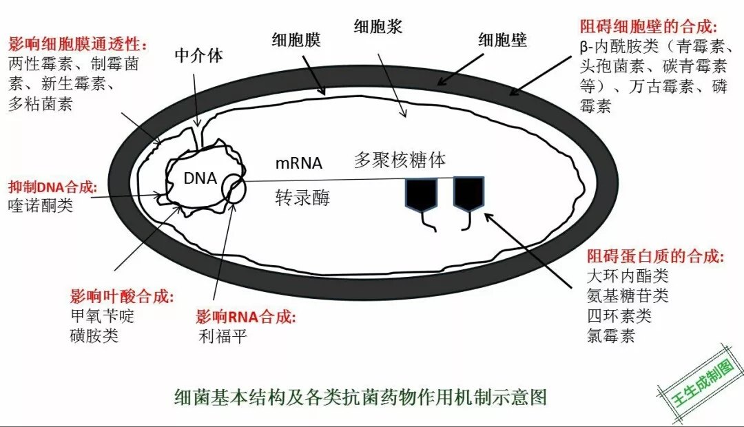 暂无