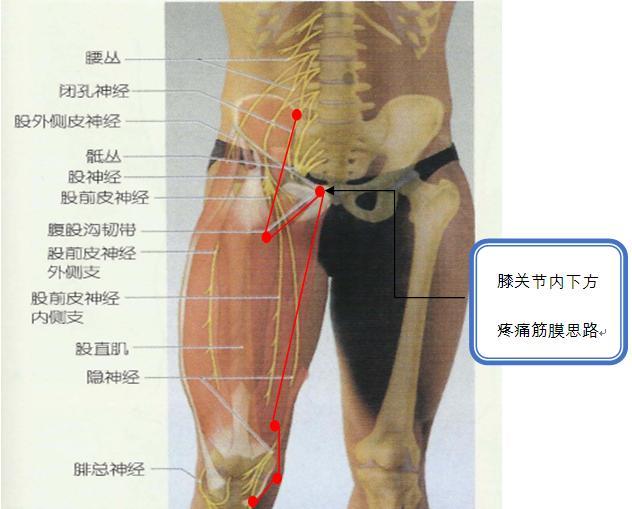 膝关节内下方疼痛诊疗思路.jpg