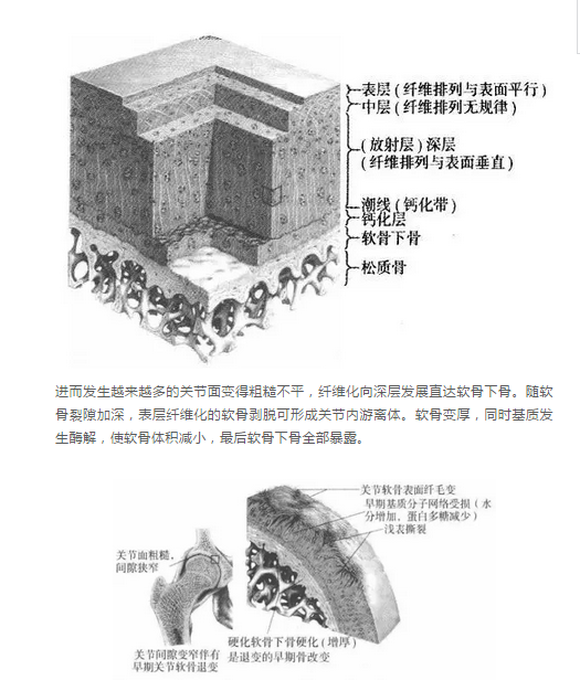 暂无