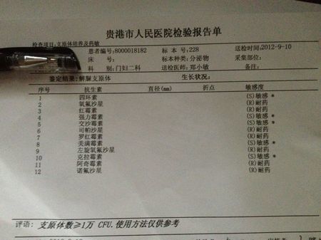 什么是支原体,衣原体?严重吗?为什么要夫妻同治?