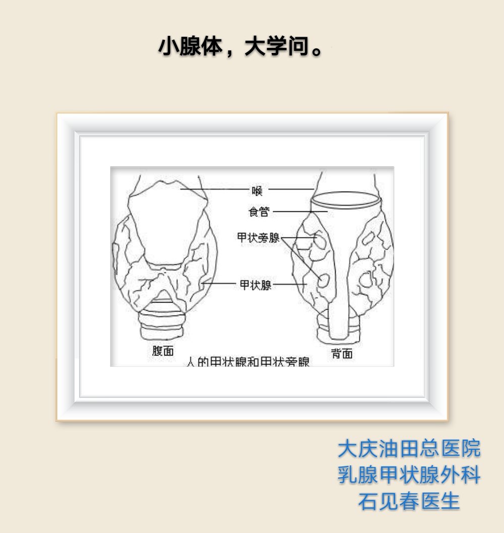 系带旁腺增生特征图片图片