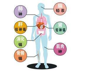 我们生活中最常见的是铅中毒,汞中毒,铊中毒,镉中毒,锰中毒等.