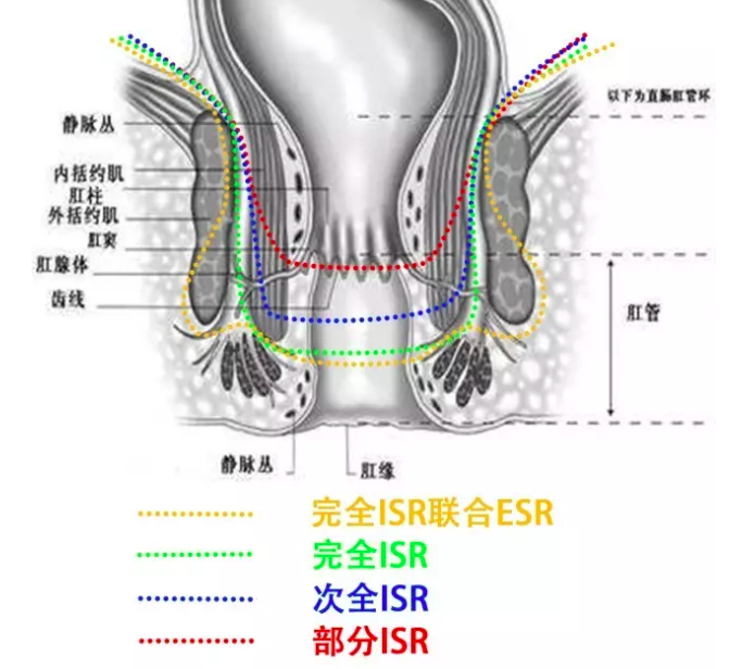 屏幕快照 2019-03-12 下午8.05.55.png