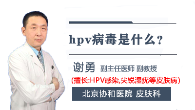 hpv病毒是什么